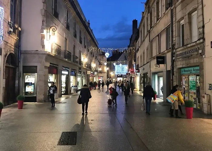 Calme En Hypercentre * Dijon